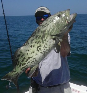 Gag Grouper