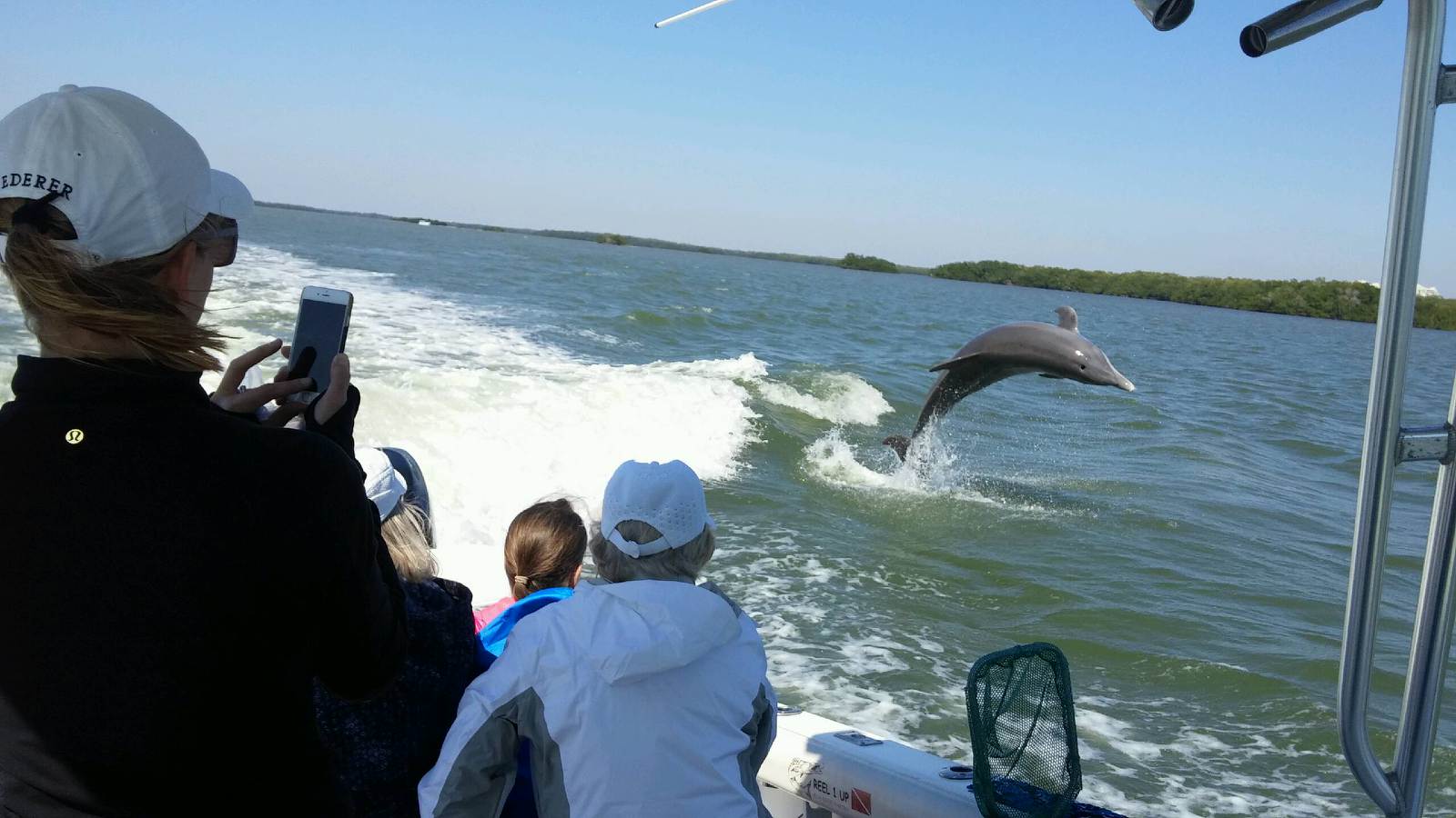 Dolphin Encounter Tour