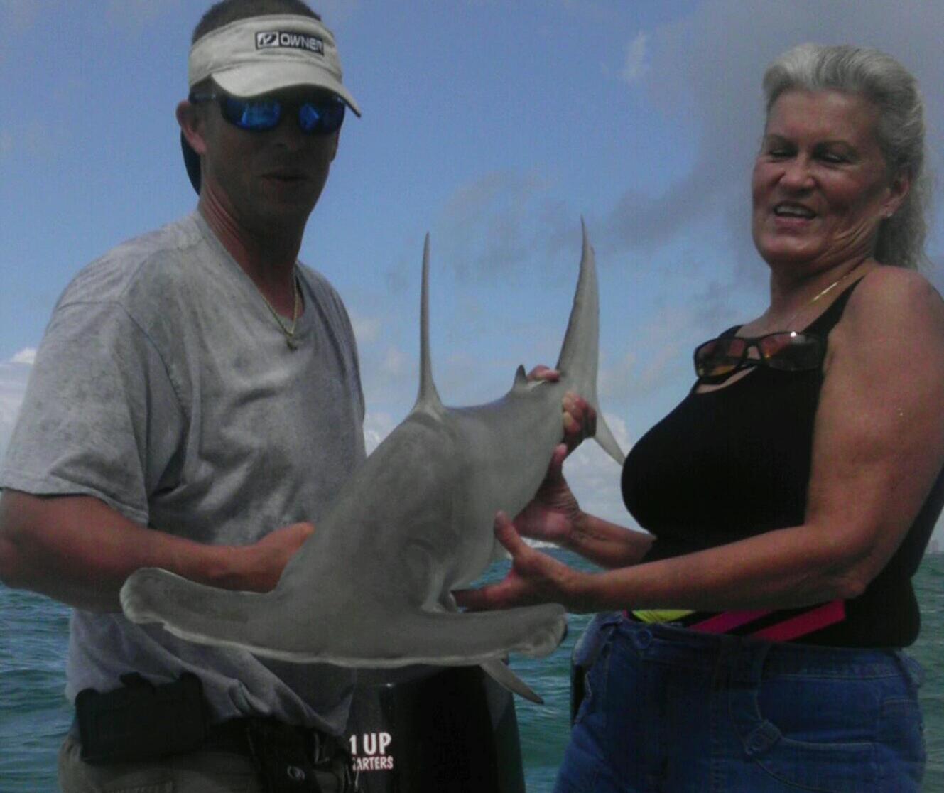 Hammerhead Shark