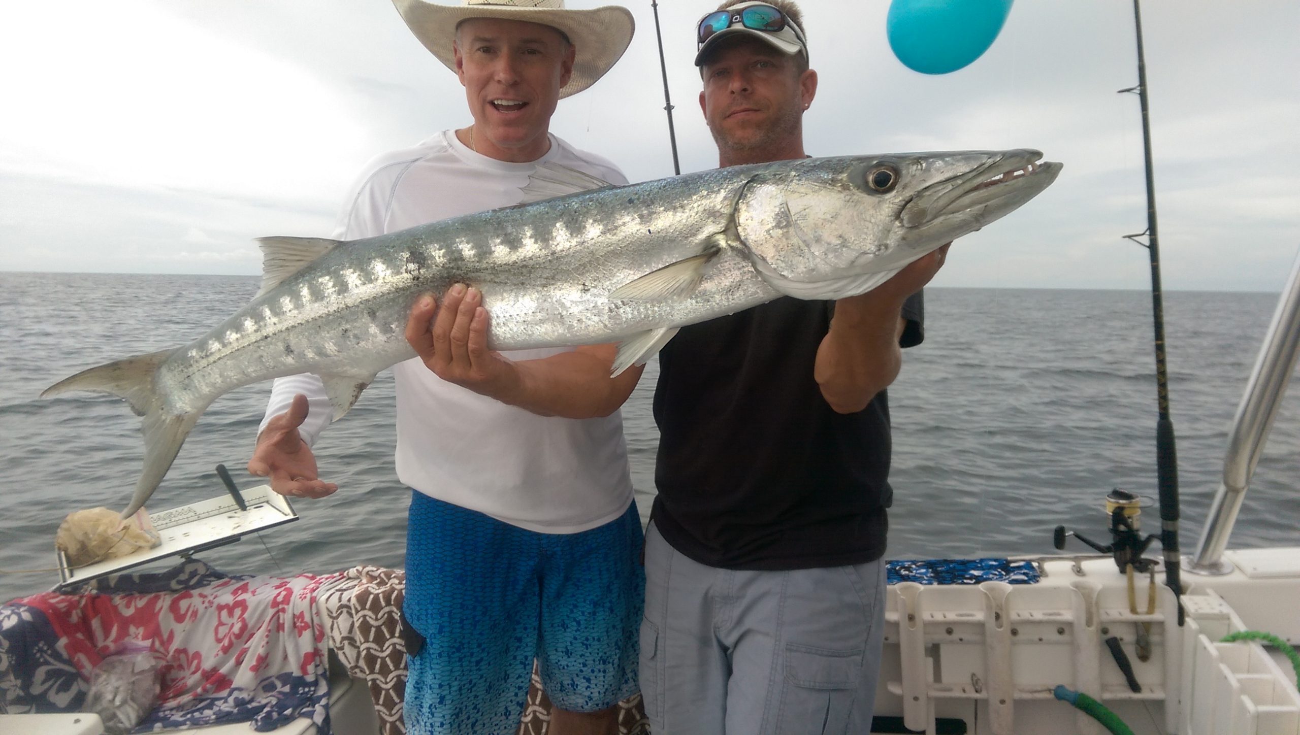 Huge Barracuda