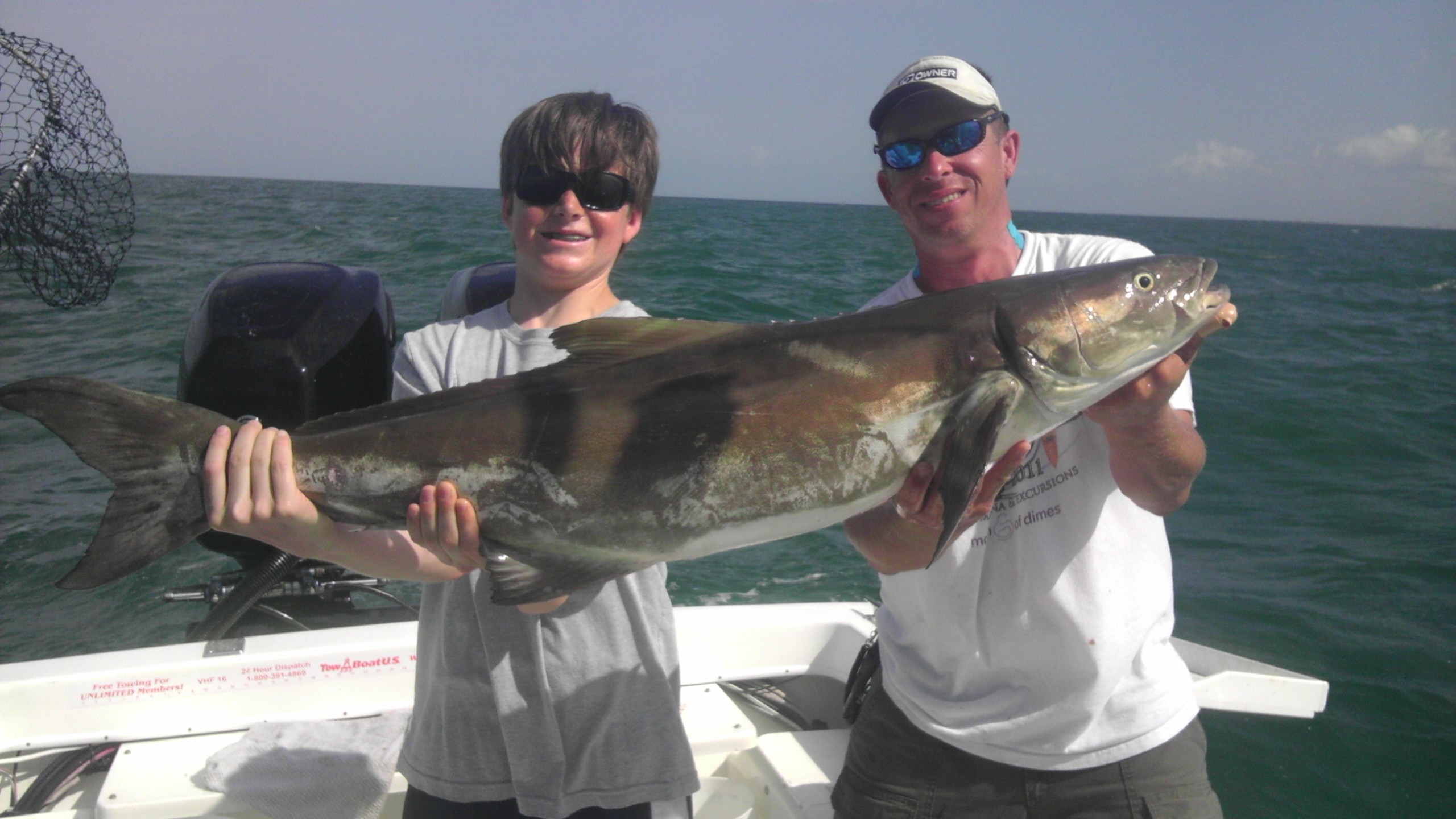 Huge Cobia