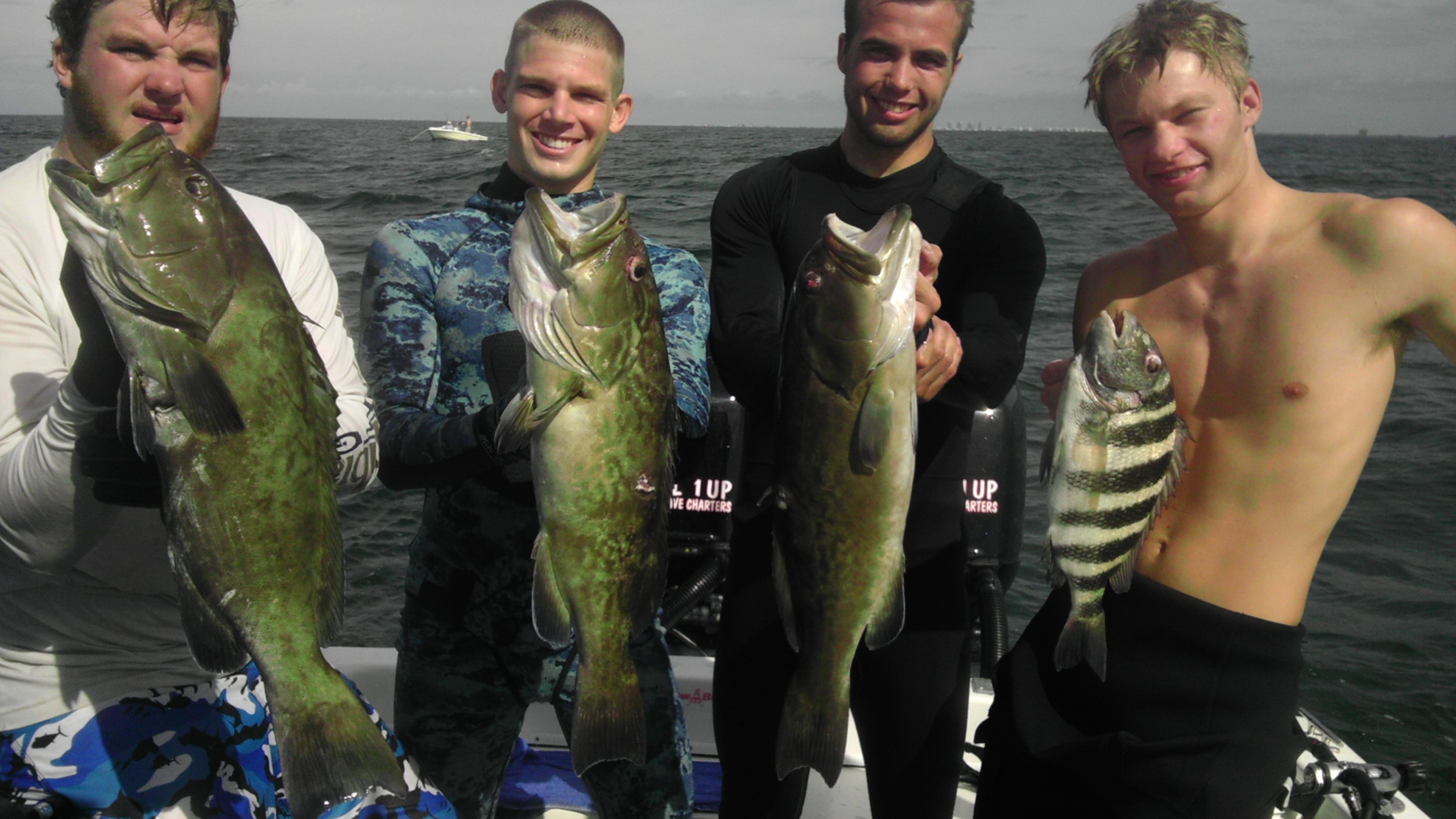 Grouper on Spear