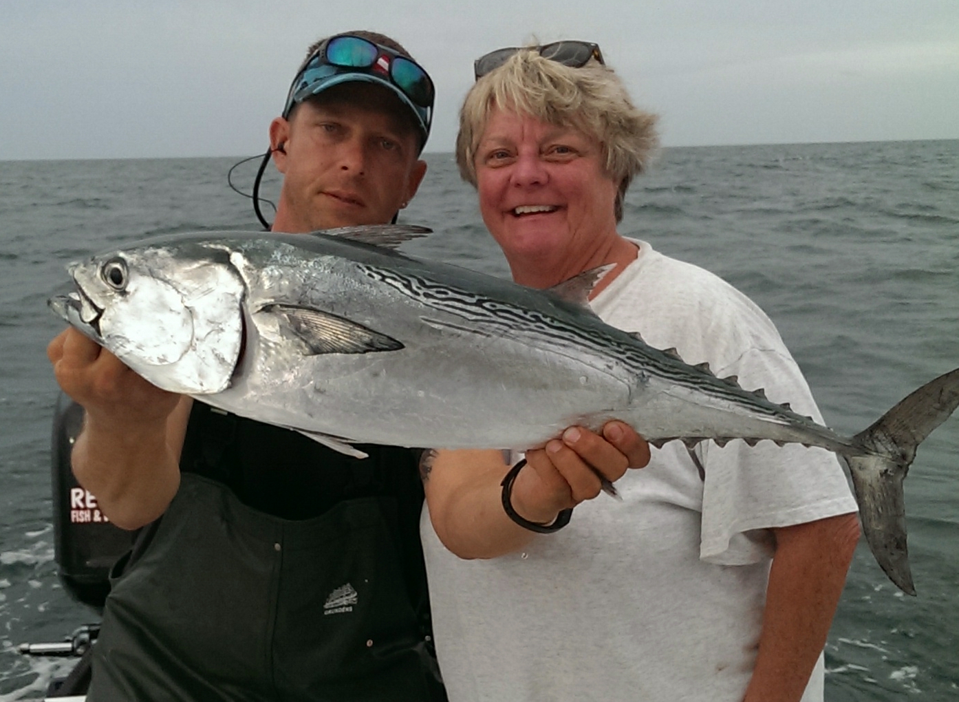 Bonito or False Albacore