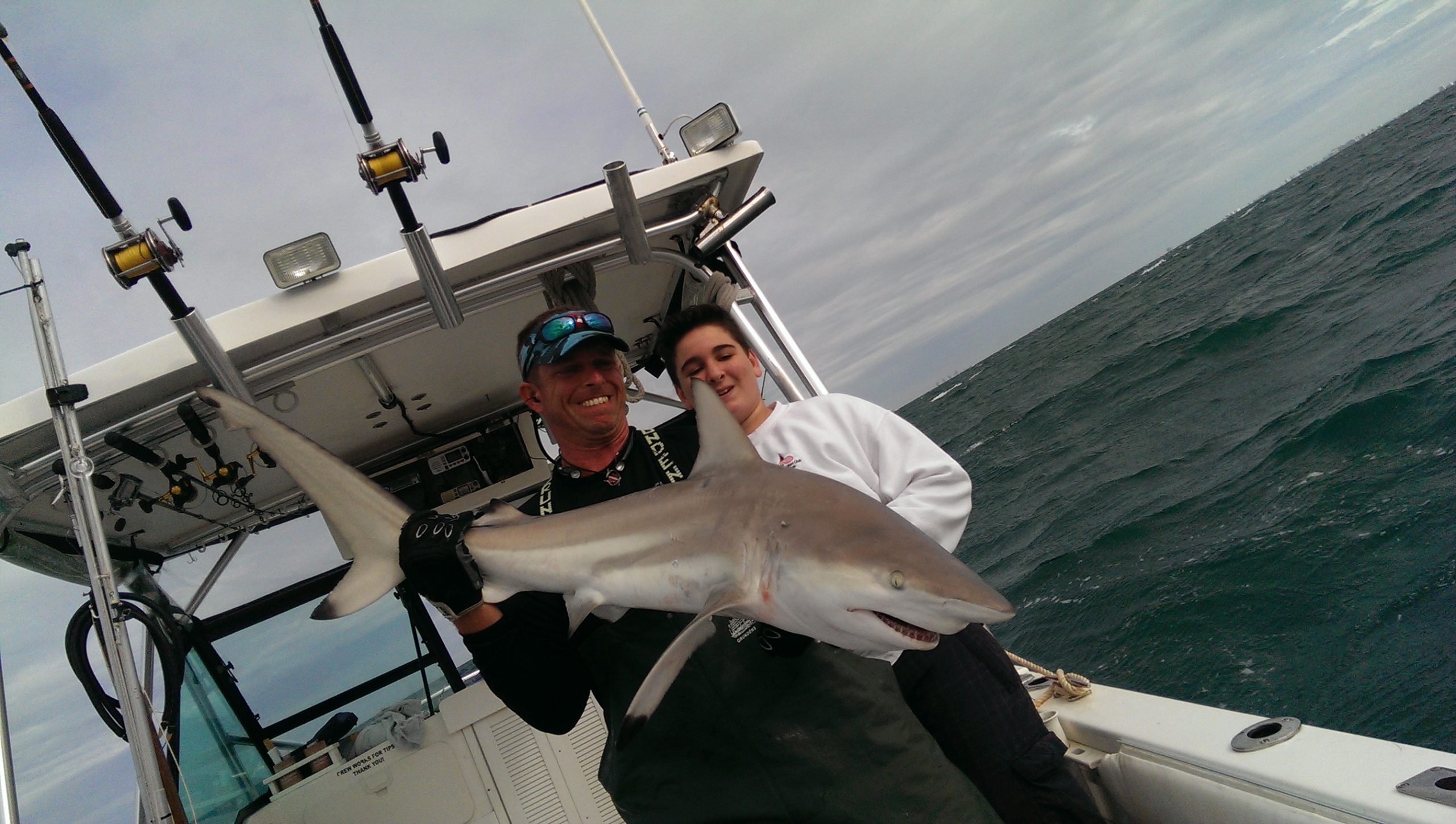 Blacktip Shark Fishing