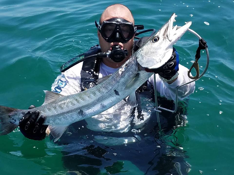 Barracuda on Spear