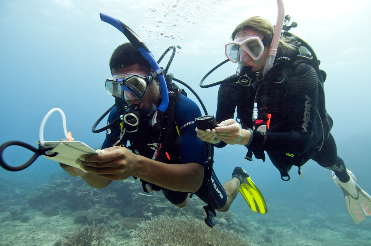 Underwater Navigation Course