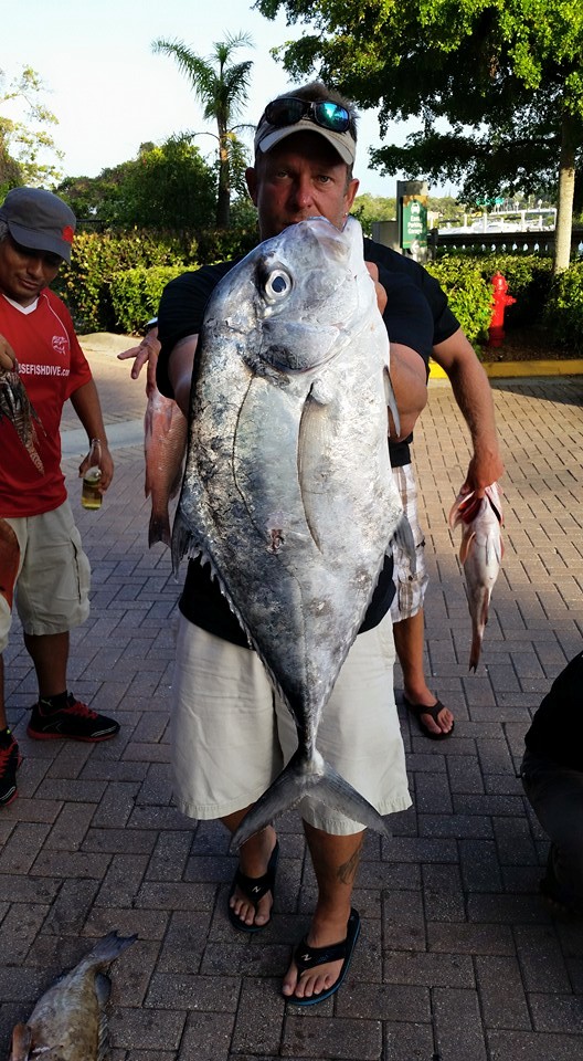 African Pompano