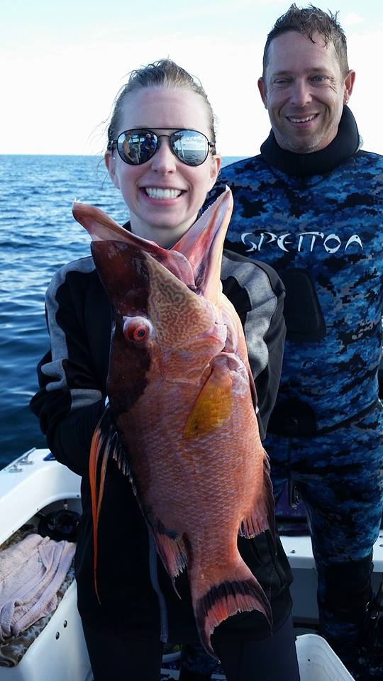 Hogfish by Female Spearfisherman 