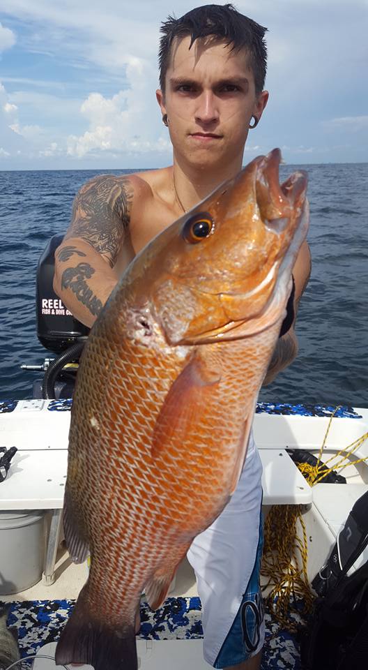 Mangrove Snapper on Spear