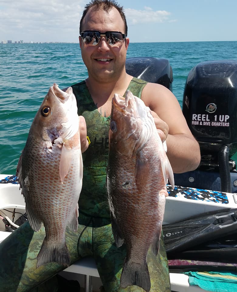 Spearfishing for Mangrove Snapper