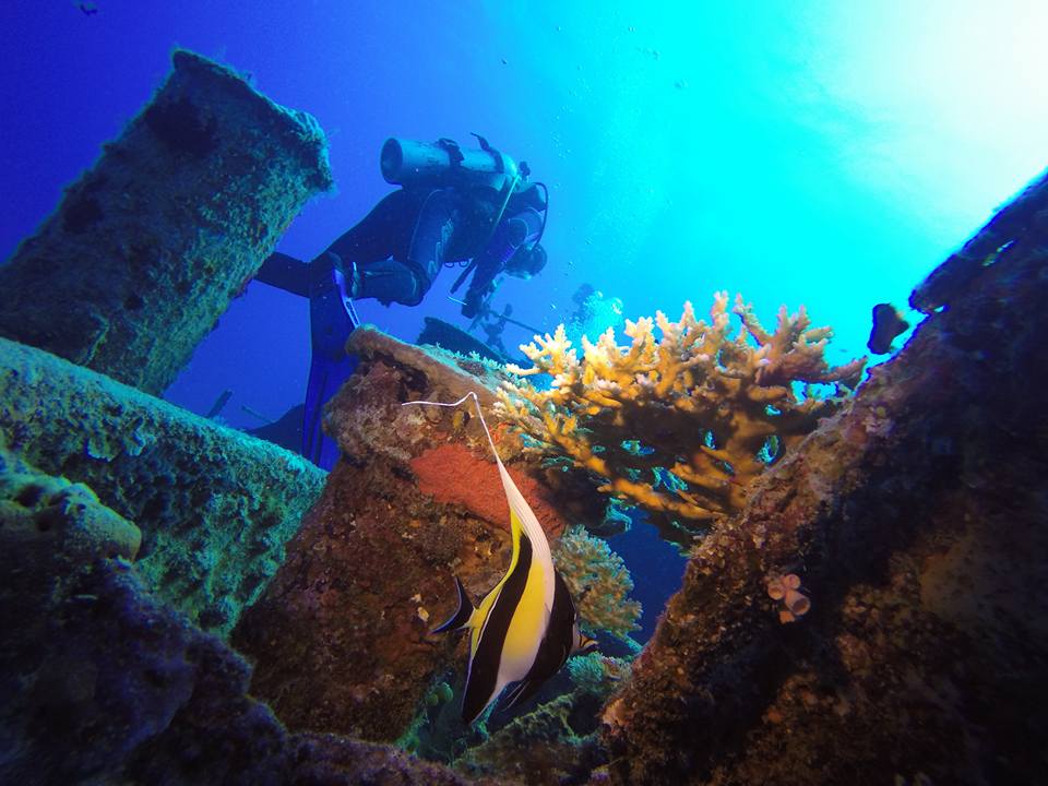 Fiji Wreck Dive Trip