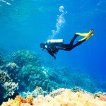 Scuba Diving