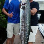 King Mackerel