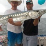 Huge Barracuda