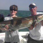 Huge Cobia