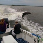 Dolphin Excursions