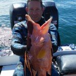 Hogfish spearfishing